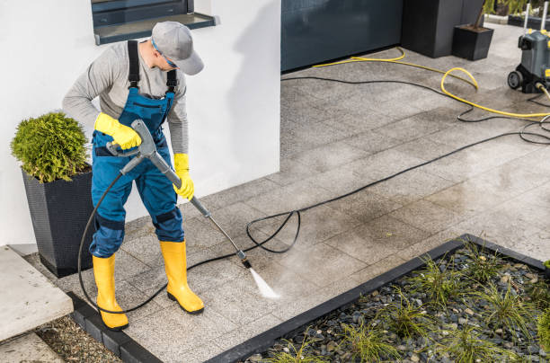 Best House Pressure Washing  in University, FL