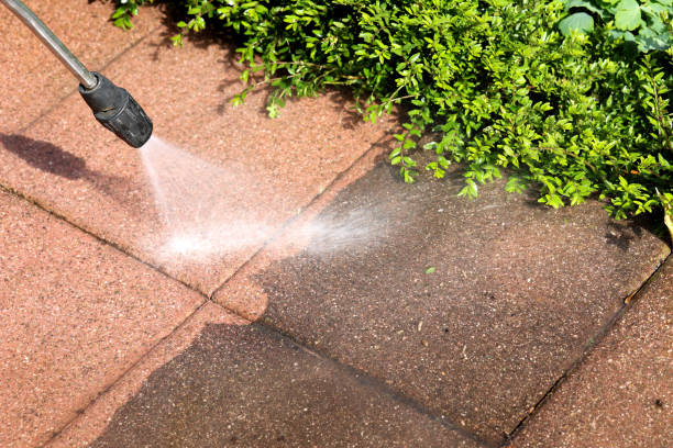 Best Roof Power Washing Services  in University, FL