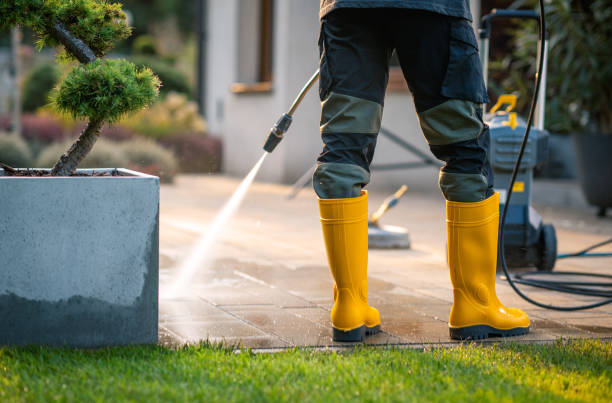 Professional Pressure Washing in University, FL